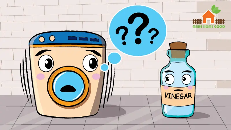 Does Vinegar Harm Washing Machine? Everything You Need To Know